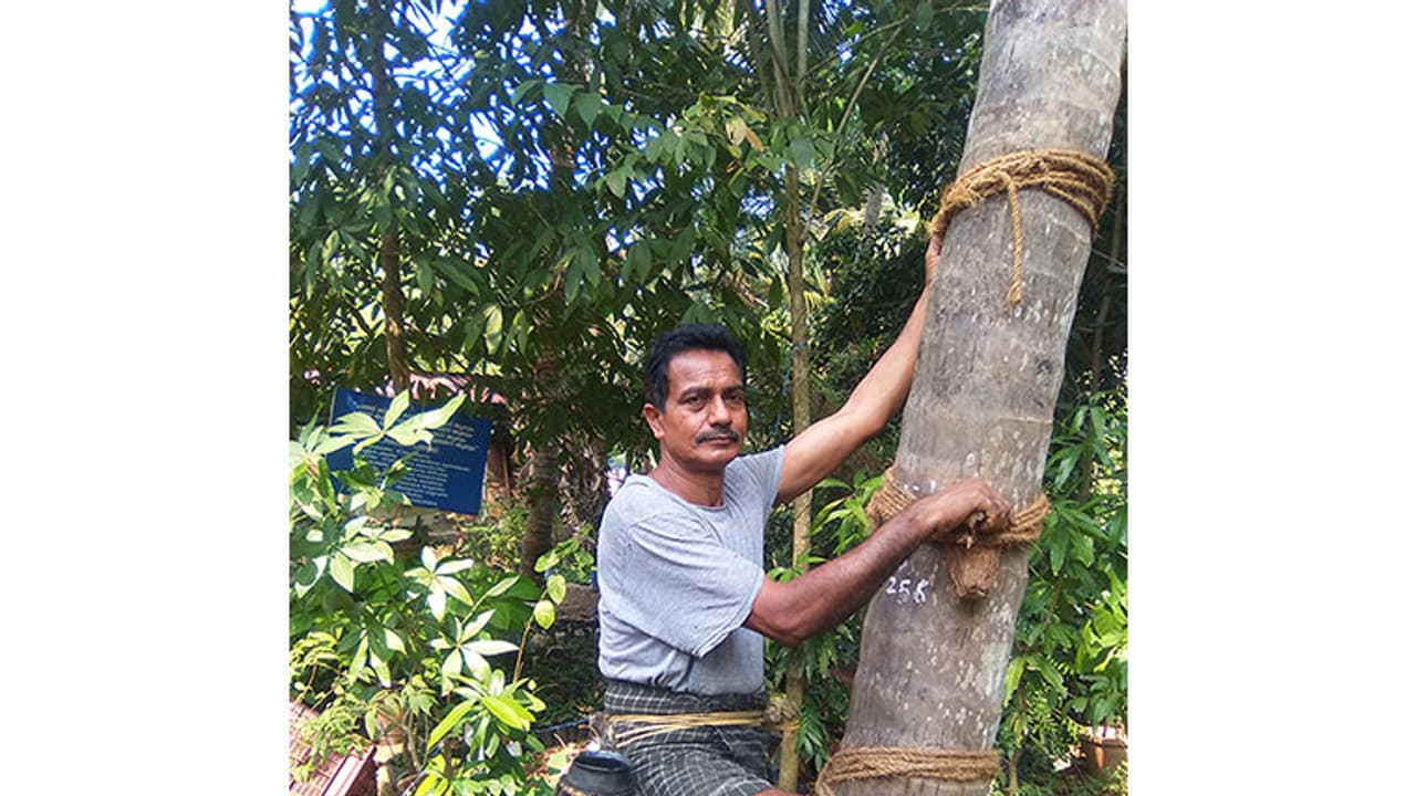 നാട്ടില് ദിവാകരനാണ് താരം, കാരണം നാട്ടുകാര്ക്ക് അയാള് ശാസ്ത്രജ്ഞനാണ് നാട്ടില് ദിവാകരനാണ് താരം, കാരണം നാട്ടുകാര്ക്ക് അയാള് ശാസ്ത്രജ്ഞനാണ്