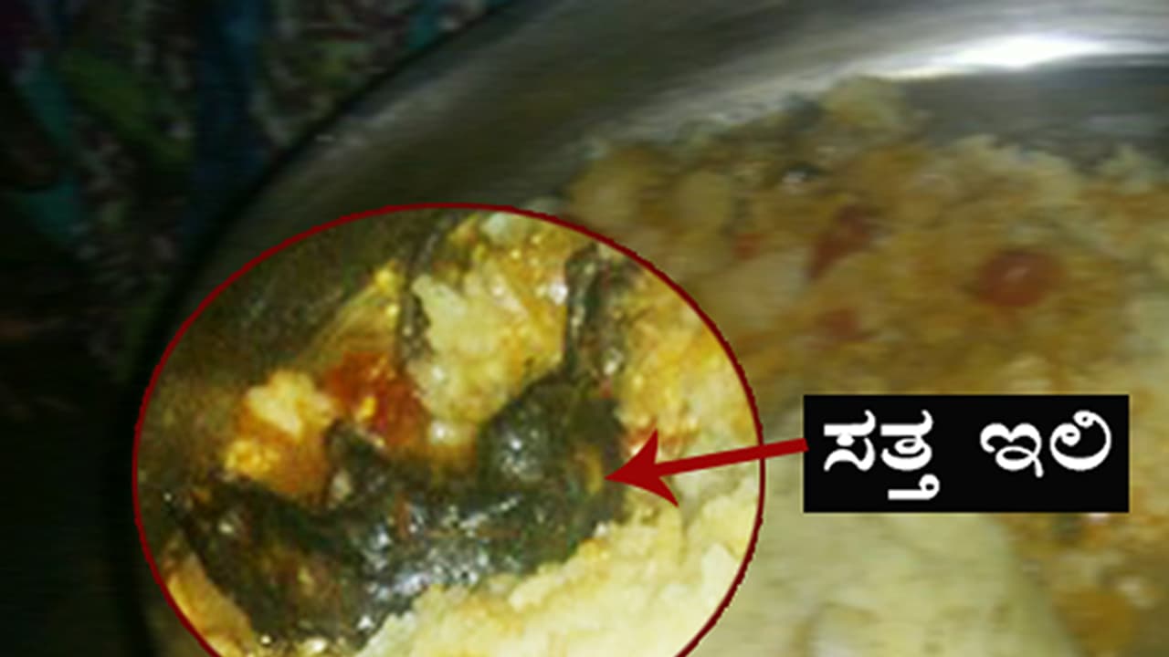 ಬೀದರ್ ವಸತಿ ಶಾಲೆ ಮಕ್ಕಳಿಗೆ ‘ಇಲಿಯೂಟ’; 7 ವಿದ್ಯಾರ್ಥಿಗಳು ಆಸ್ಪತ್ರೆಗೆ