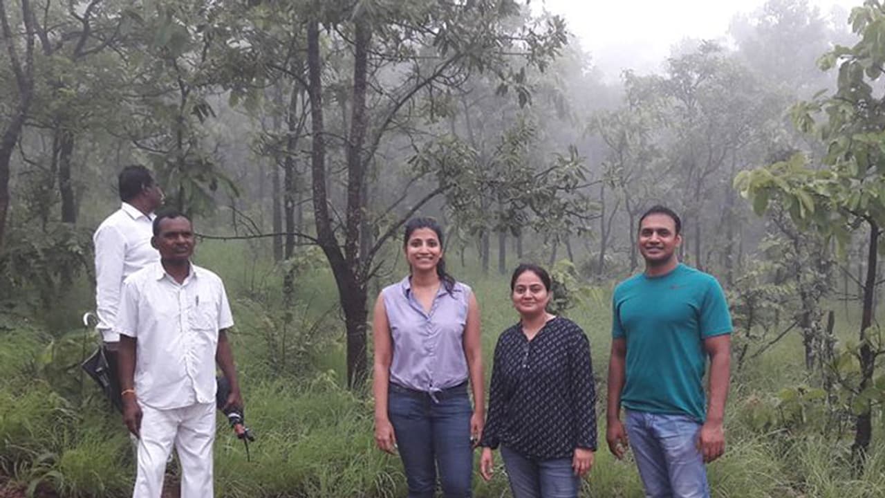 అడవుల్లో ఇద్దరు కలెక్టరమ్మల హల్ చల్ (వీడియో) అడవుల్లో ఇద్దరు కలెక్టరమ్మల హల్ చల్ (వీడియో)