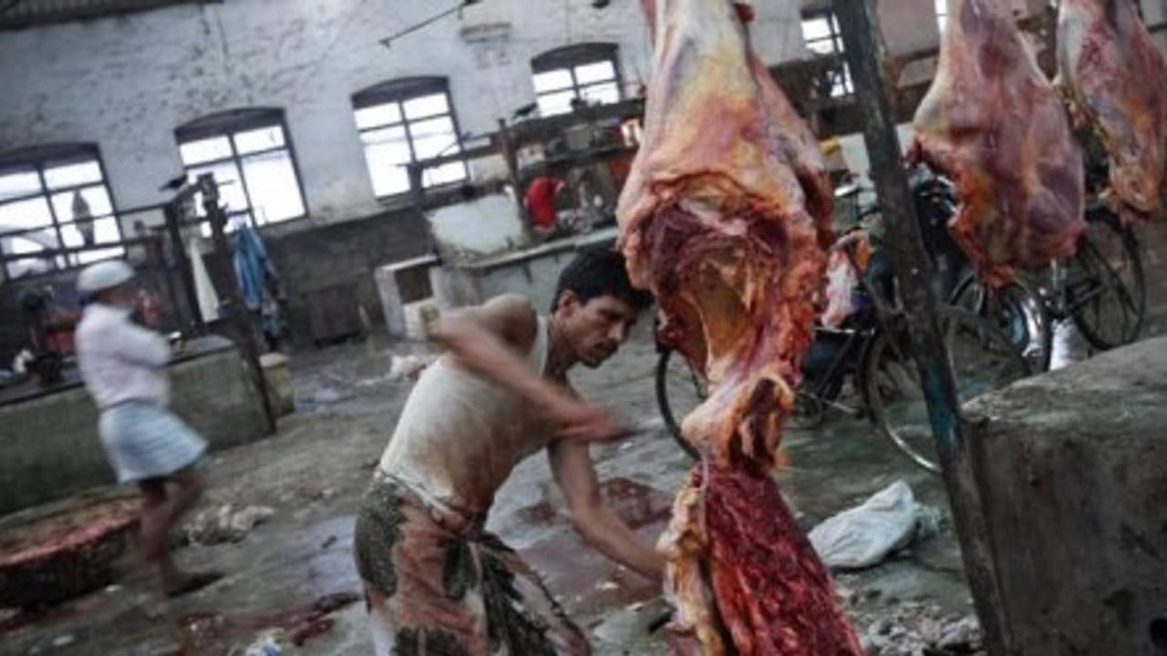 மாடு விற்பனைக்கு கட்டுப்பாடு தடை நீட்டிப்பு! மாடு விற்பனைக்கு கட்டுப்பாடு தடை நீட்டிப்பு!