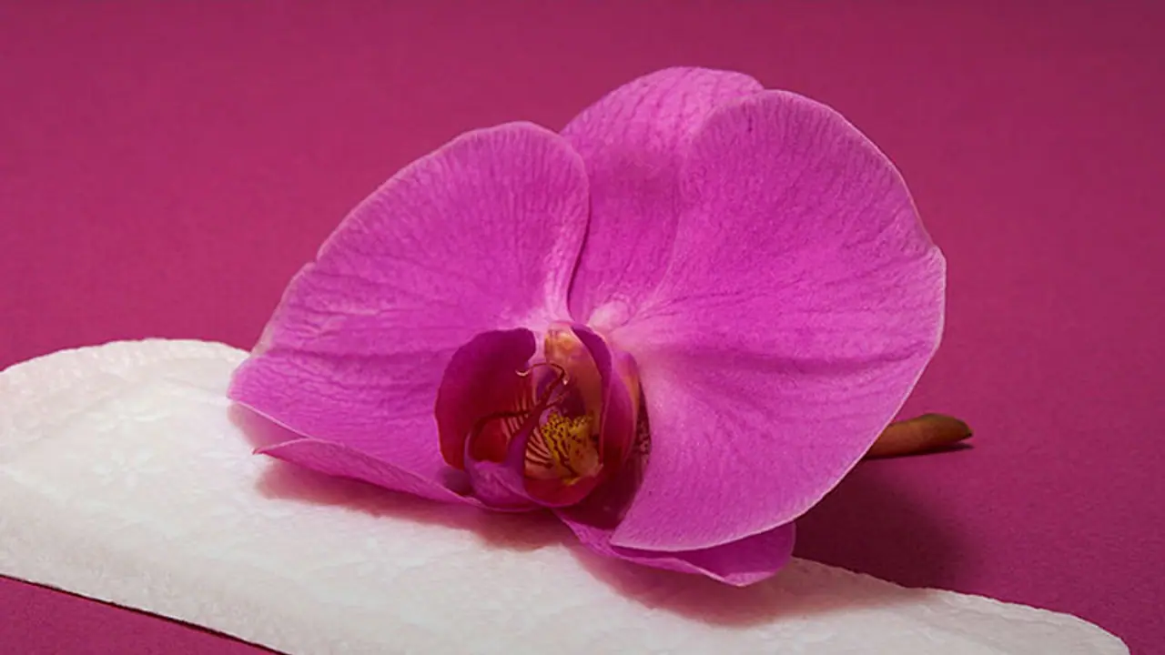 Kerala to be the first state in India to make sanitary napkin vending machines mandatory in all schools