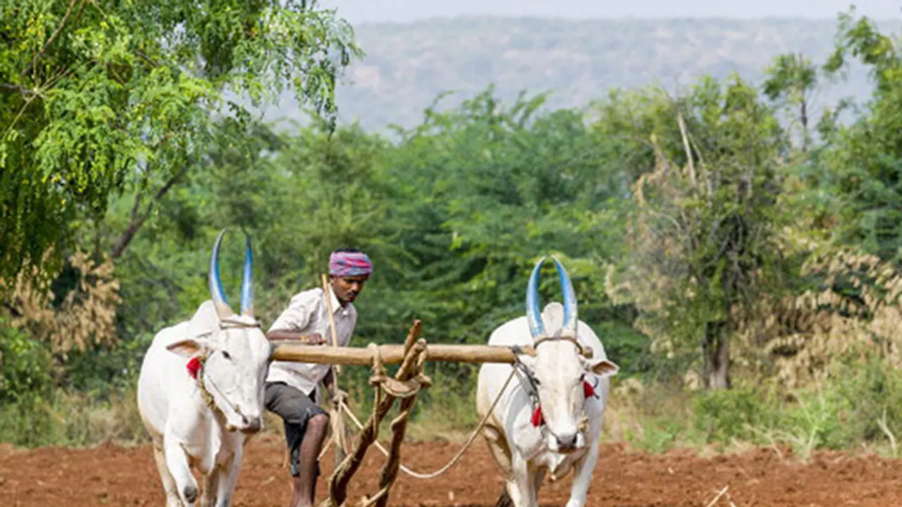 Karnataka CM aims for farmers' hearts, waives off farm loans Karnataka CM aims for farmers' hearts, waives off farm loans