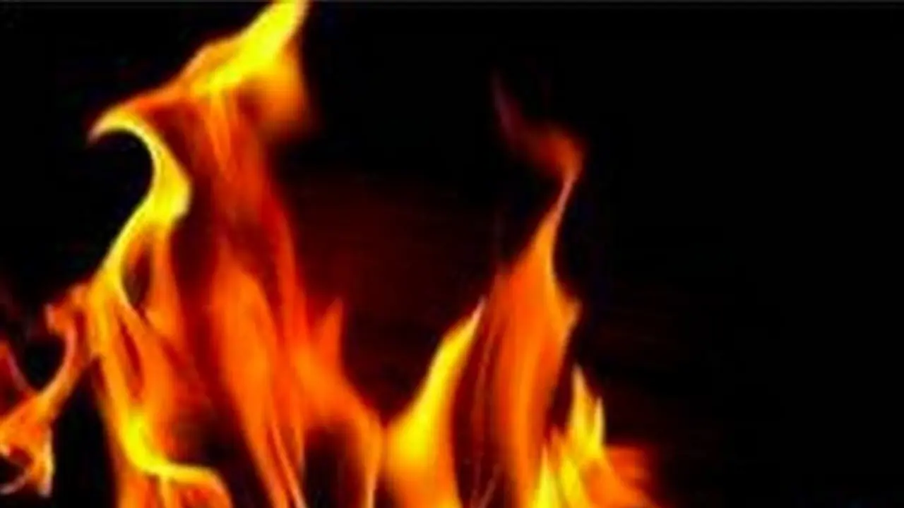 Fire breaks out at Oshiwara Furniture Market in Mumbai, 12 fire brigade vehicles deployed (WATCH)