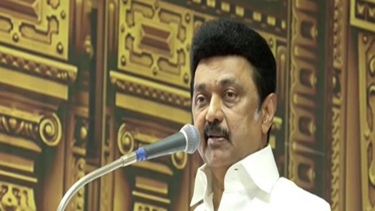 TN CM Stalin says 25 north Indian languages destroyed by Hindi Sanskrit 'invasion' amid NEP row