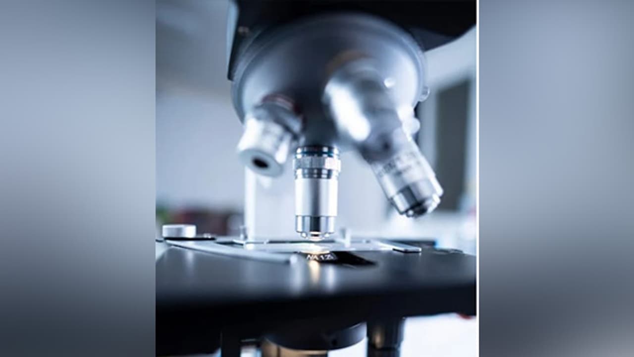 AI powered microscopy breakthrough reveals hidden dynamics of nanoparticles at atomic level