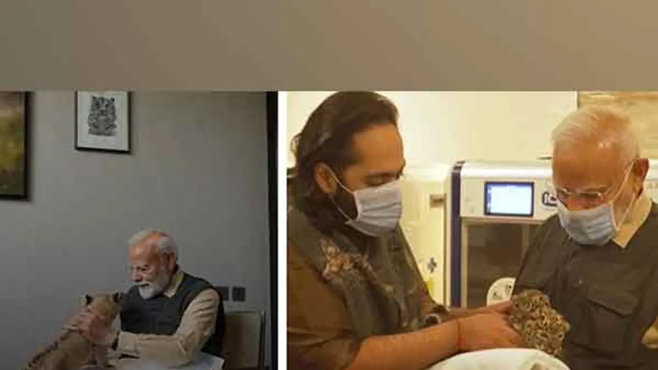 PM Modi inaugurates Vantara in Jamnagar, showcases commitment to wildlife conservation