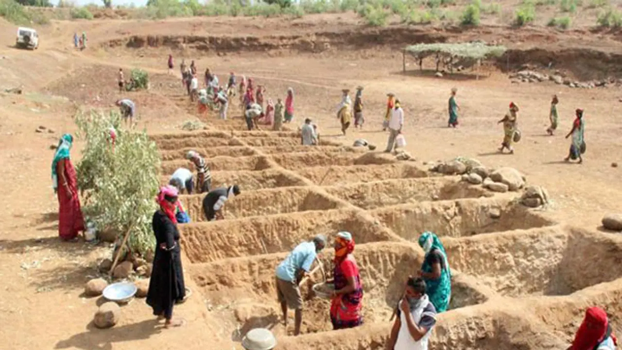 Centre's Rs 7.8 lakh crore MGNREGA investment since 2014 spurs rural asset growth