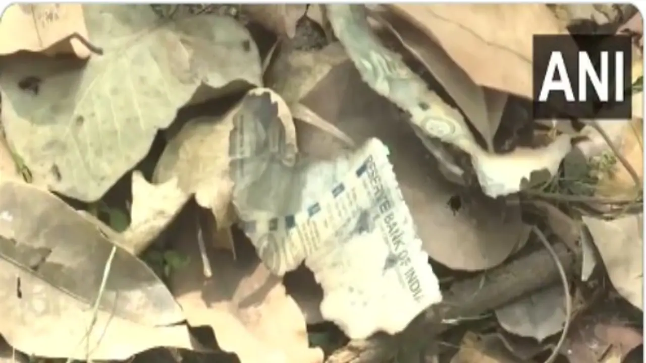 Burnt pieces of Rs 500 currency notes found in garbage near Delhi HC judge Yashwant Varma's house (WATCH)