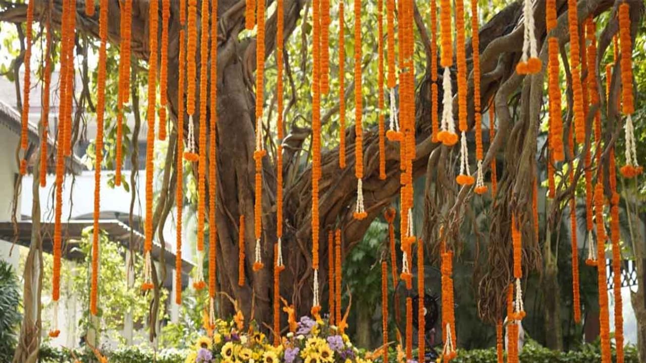 'Historic venues, affordable luxury': Why more couples are choosing India for destination wedding in 2025