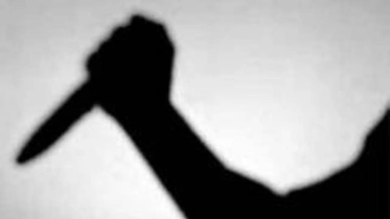 Delhi SHOCKER! 20 year old stabs female friend multiple times, then injures self with same knife Delhi SHOCKER! 20 year old stabs female friend multiple times, then injures self with same knife