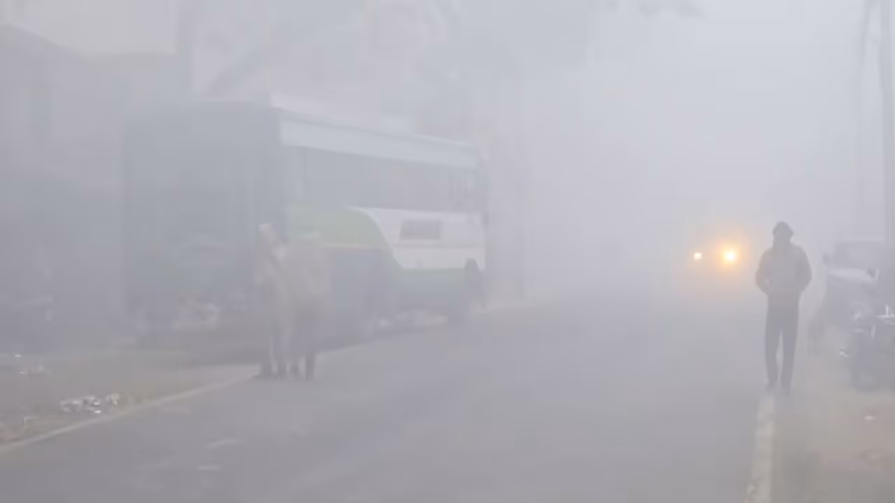 A dense layer of fog covers Bulandshahr (Photo/ANI) A dense layer of fog covers Bulandshahr (Photo/ANI)