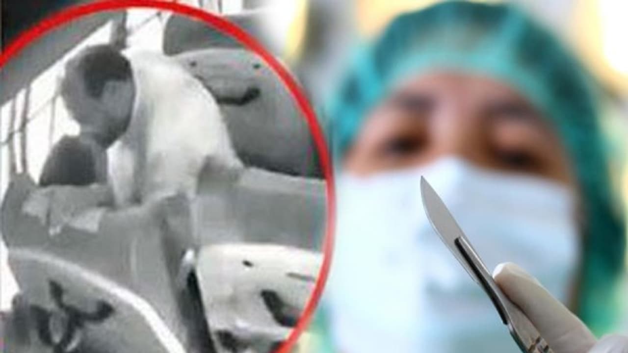 500 பெண்களுக்கு கருவை சிதைத்த டாக்டர்... பெண் கர்ப்பை சூறையாடிய வாலிபன்... விரக்தியில் பெண் விபரீதம்! 500 பெண்களுக்கு கருவை சிதைத்த டாக்டர்... பெண் கர்ப்பை சூறையாடிய வாலிபன்... விரக்தியில் பெண் விபரீதம்!