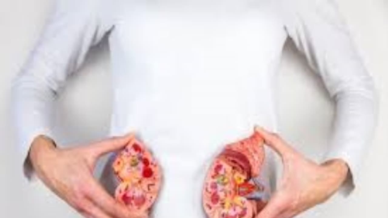 கிட்னியில் கல் இருப்பவர்கள் இந்த உணவுகளை அதிகம் எடுத்துக் கொள்வது நல்லது... நிறைய டிப்ஸ் உள்ளே... கிட்னியில் கல் இருப்பவர்கள் இந்த உணவுகளை அதிகம் எடுத்துக் கொள்வது நல்லது... நிறைய டிப்ஸ் உள்ளே...