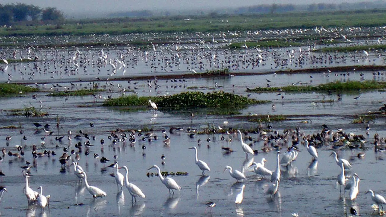 Kolleru Encroachments: కొల్లేరుపై సమగ్ర విచారణ చేయండి.. సుప్రీంకోర్టు సీరియస్‌! 