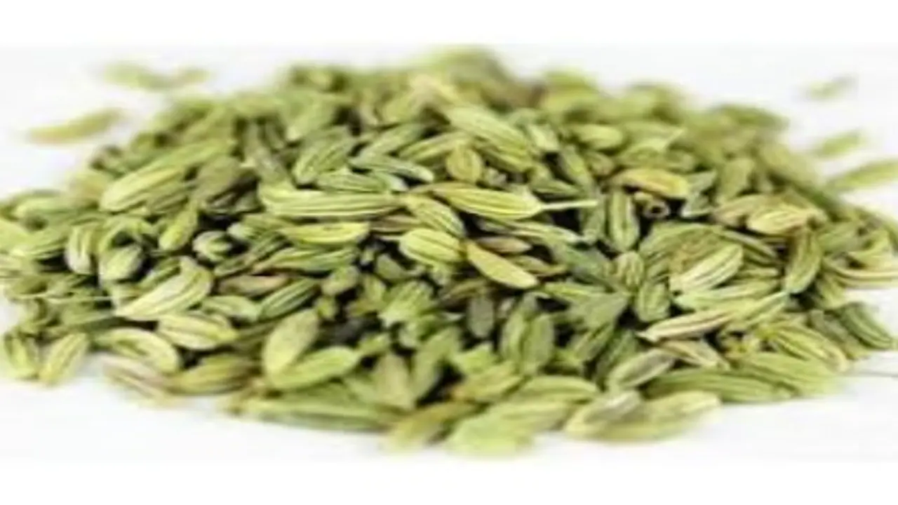 சோம்பில் அடங்கியுள்ள மருத்துவ பண்புகள்… சோம்பில் அடங்கியுள்ள மருத்துவ பண்புகள்…