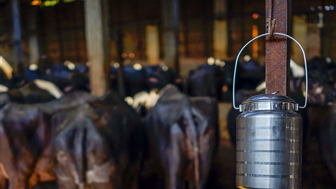 After Kerala now Tamil Nadu suffers shortage of milk After Kerala now Tamil Nadu suffers shortage of milk