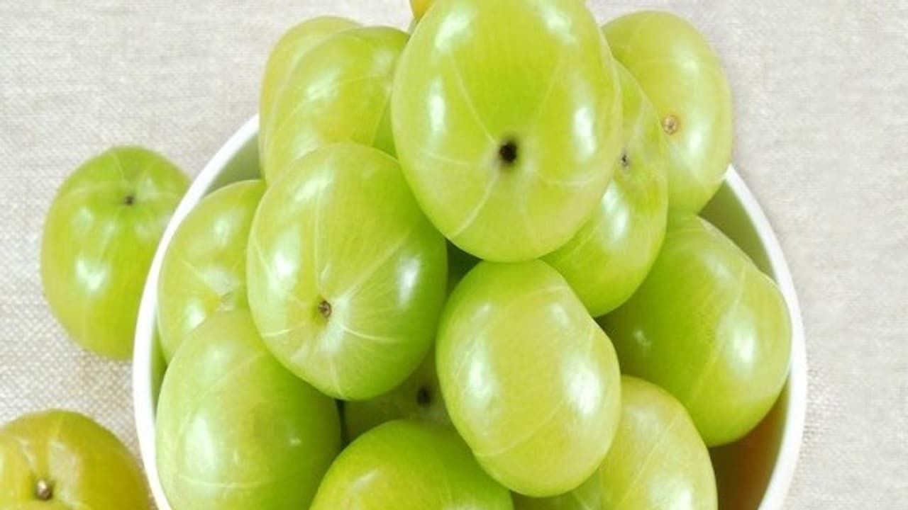 ஆரோக்கிய வாழ்விற்கு விருந்தளிக்கும் நெல்லிக்காயின் அற்புத மருத்துவ குணங்கள் இதோ...