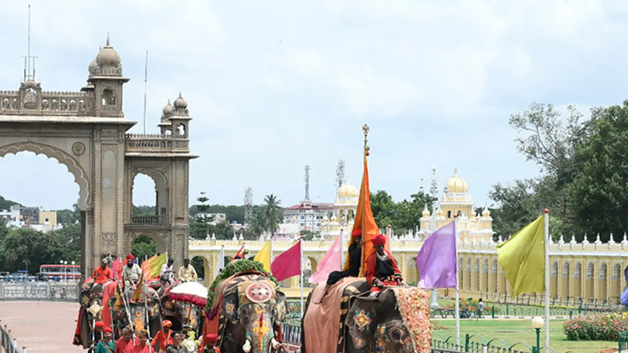 Mysuru Dasara: COVID 19 test must for those taking part in Jamboo Savari Mysuru Dasara: COVID 19 test must for those taking part in Jamboo Savari