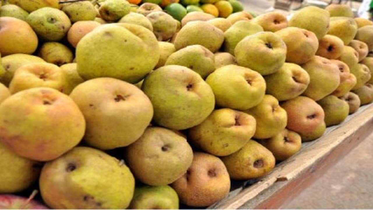 உங்களுக்குத் தெரியுமா? கருவில் உள்ள குழந்தையின் எலும்பு வலிமை பெற பேரிக்காய் உதவும்…