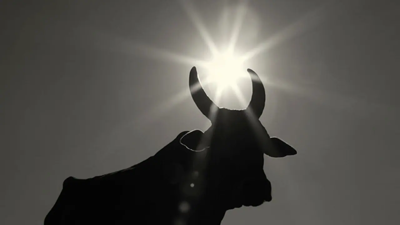 ബീഫ് (നുണ കളഞ്ഞത്) ബീഫ് (നുണ കളഞ്ഞത്)