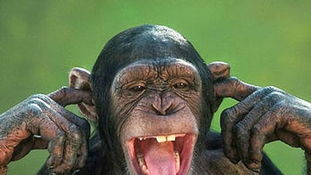 മദ്യപിച്ച് കോണ്തെറ്റിയ കുരങ്ങിന്റെ വിക്രിയകള് മദ്യപിച്ച് കോണ്തെറ്റിയ കുരങ്ങിന്റെ വിക്രിയകള്