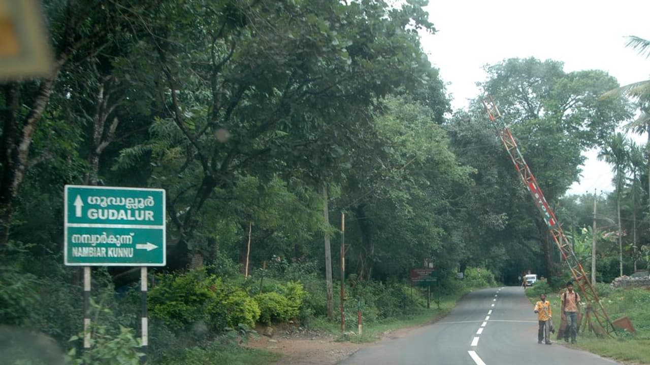 ഗൂഡല്ലൂർ പാതയിൽ ഗതാഗത നിരോധനം; നാടുകാണി വഴി വലിയ വാഹനങ്ങളും ഓടരുത് ഗൂഡല്ലൂർ പാതയിൽ ഗതാഗത നിരോധനം; നാടുകാണി വഴി വലിയ വാഹനങ്ങളും ഓടരുത്