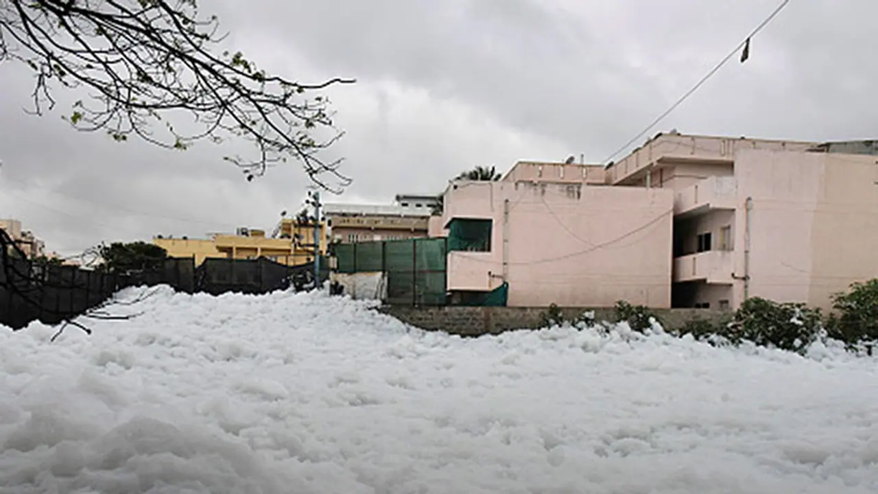 This picture of Bellandur lake will shock you, who cursed the lake?
