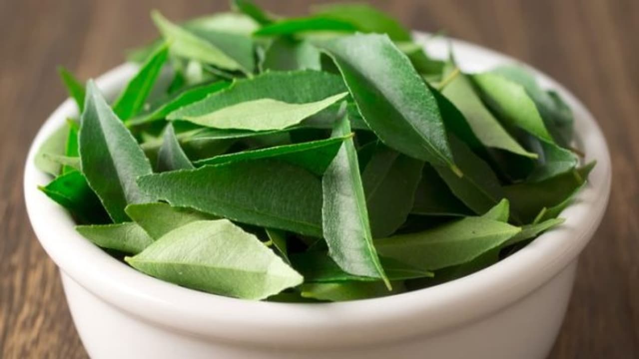 உங்களுக்குத் தெரியுமா? கறிவேப்பிலையை சுடுநீரில் கலந்து குடித்தால் ரத்தசோகையில் இருந்து விடுபடலாம்...