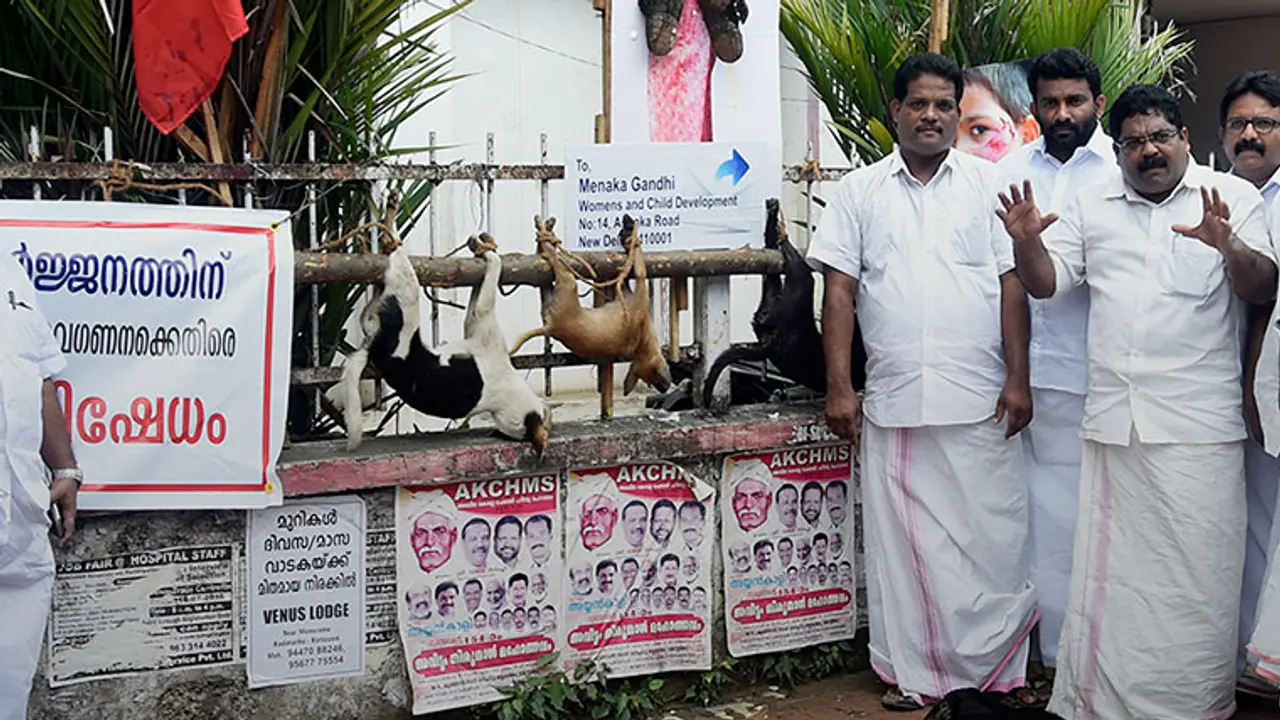 Kerala Congress (M) youth wing kill, hang stray dogs on pole