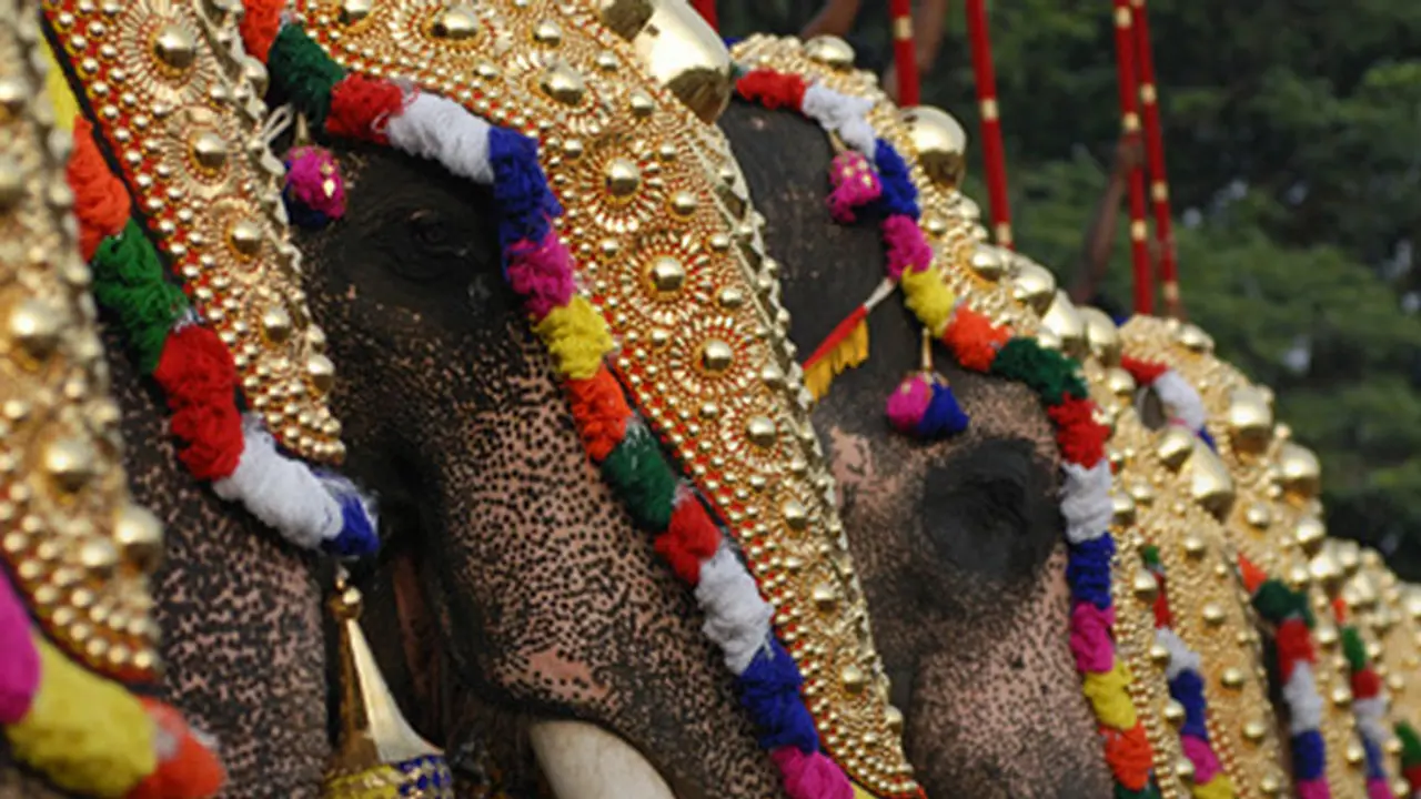 തൃശ്ശൂര്‍ പൂരത്തിന് 15 ആനകളെ എഴുന്നള്ളിക്കും; നിലപാടിൽ ഉറച്ചു പാറമേക്കാവ്