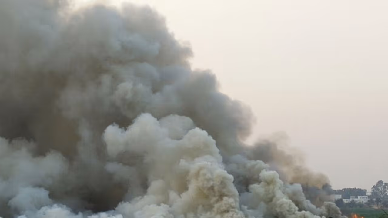 Bengaluru's Bellandur lake catches fire, yet again