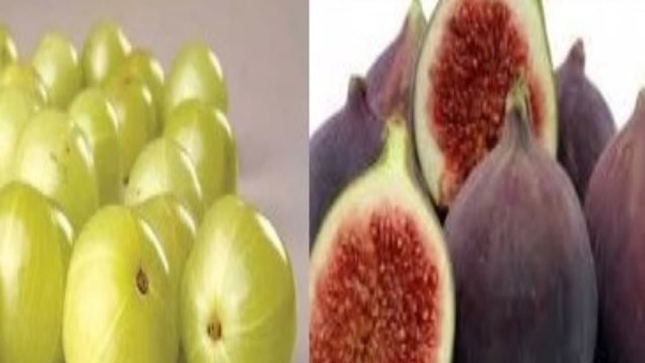 நெல்லிக்காய் மற்றும் அத்திப்பழத்தை இந்தெந்த நோய்களுக்கு பயன்படுத்தலாம்... நெல்லிக்காய் மற்றும் அத்திப்பழத்தை இந்தெந்த நோய்களுக்கு பயன்படுத்தலாம்...