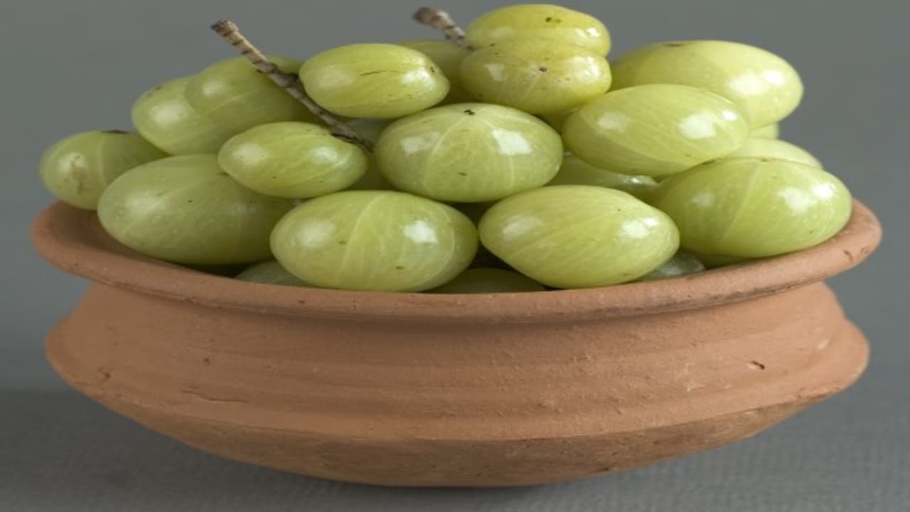 உங்களுக்குத் தெரியுமா? நெல்லிக்காய் சாப்பிட்டாலும் ஞாபக சக்தி பெருகும்…