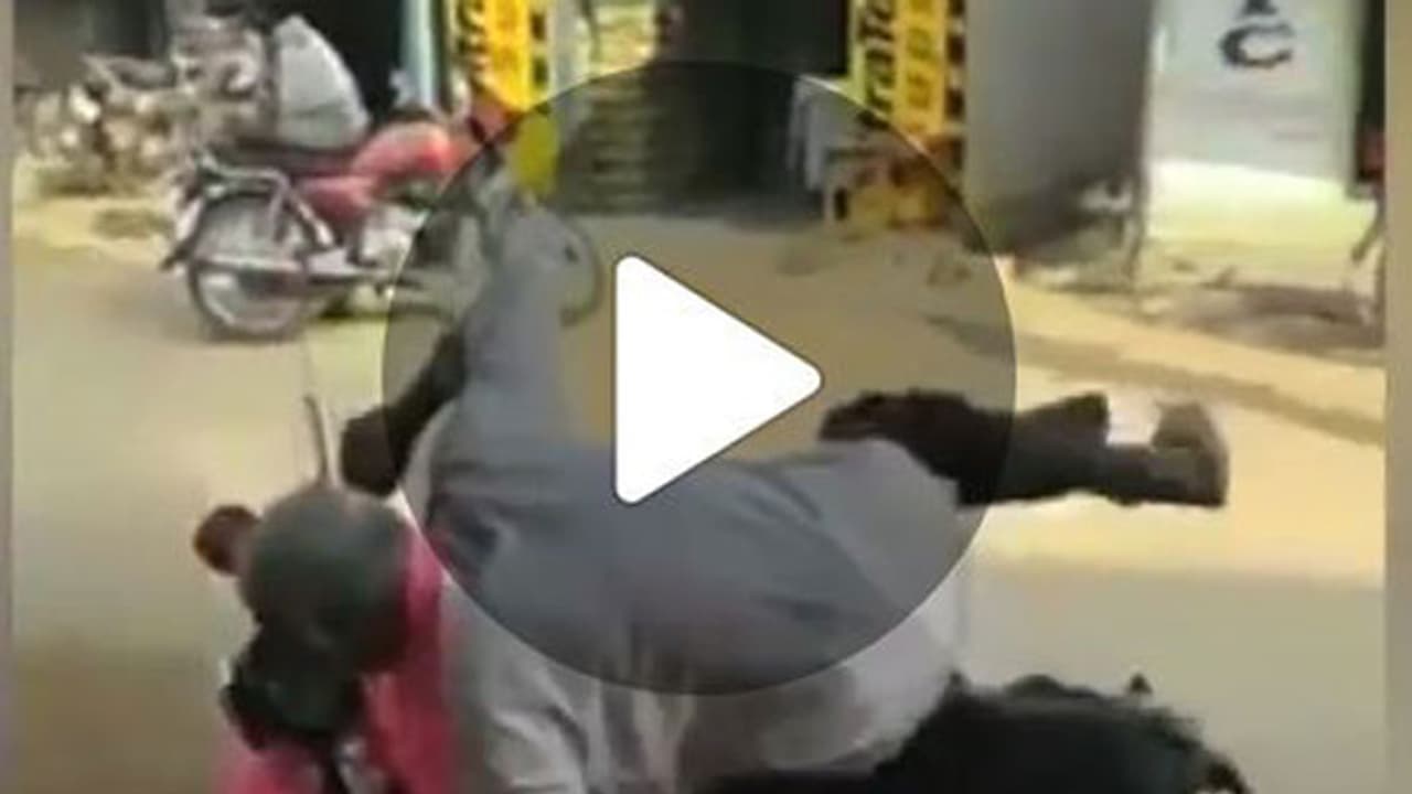 ఈ టీఆర్ఎస్ కార్యకర్త ఏం చేస్తున్నాడో చూడండి (వీడియో) ఈ టీఆర్ఎస్ కార్యకర్త ఏం చేస్తున్నాడో చూడండి (వీడియో)