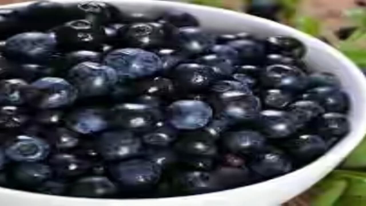 உங்களுக்குத் தெரியுமா? நாவல்பழச் சாற்றை தினமும் சாப்பிட்டால் உடம்பில் சர்க்கரையின் அளவு 10% குறையும்… உங்களுக்குத் தெரியுமா? நாவல்பழச் சாற்றை தினமும் சாப்பிட்டால் உடம்பில் சர்க்கரையின் அளவு 10% குறையும்…