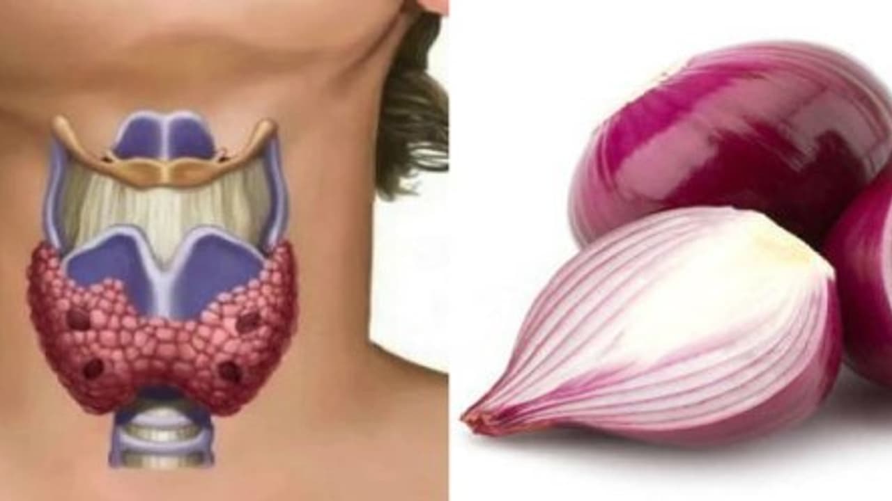 கழுத்தில் வெங்காயம் வைத்தால் என்ன நடக்கும்! கழுத்தில் வெங்காயம் வைத்தால் என்ன நடக்கும்!