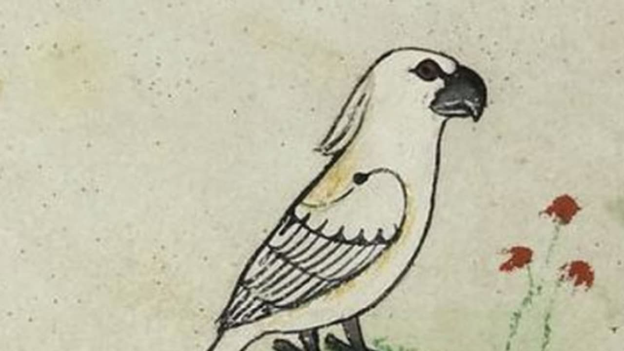 പതിമൂന്നാം നൂറ്റാണ്ടിലെ തത്ത എങ്ങനെയിരിക്കും? പതിമൂന്നാം നൂറ്റാണ്ടിലെ തത്ത എങ്ങനെയിരിക്കും?