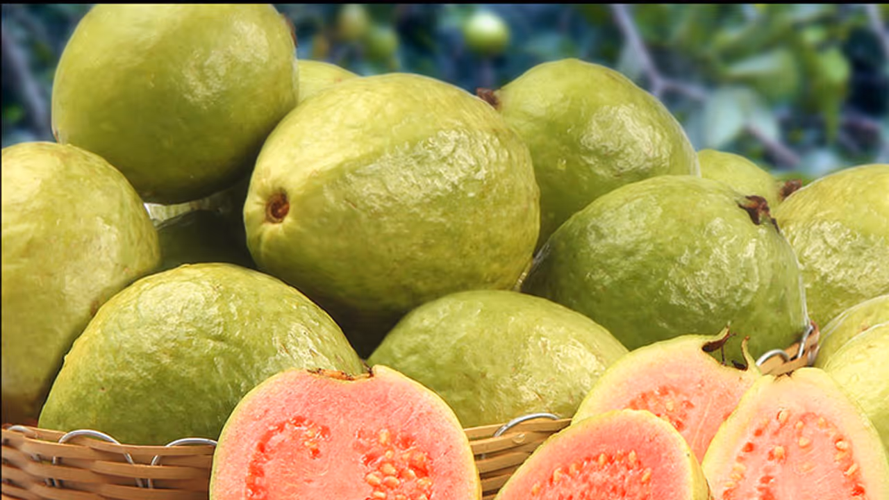 ദിവസവും ഓരോ 'പേരയ്ക്ക' കഴിക്കൂ; പലതുണ്ട് ഗുണങ്ങൾ ദിവസവും ഓരോ 'പേരയ്ക്ക' കഴിക്കൂ; പലതുണ്ട് ഗുണങ്ങൾ