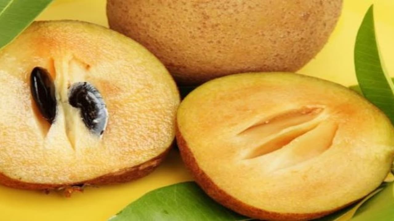 உங்களுக்குத் தெரியுமா? தூங்குவதற்கு முன் ஒரு தம்ளர் சப்போட்டா பழக்கூழ் குடித்தால் நிம்மதியான தூக்கம் வரும்…