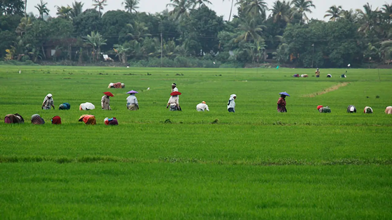 നെല്വയല്, തണ്ണീര്ത്തട നിയമത്തിലെ ഇളവിനെതിരെ സിപിഐ നെല്വയല്, തണ്ണീര്ത്തട നിയമത്തിലെ ഇളവിനെതിരെ സിപിഐ