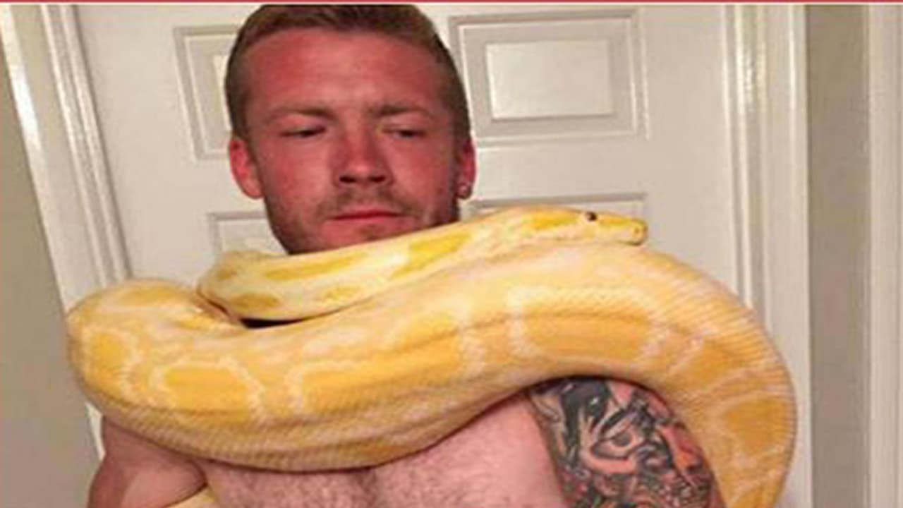 ತಾನು ಸಾಕಿದ ಹೆಬ್ಬಾವಿನಿಂದಲೇ ಮೃತಪಟ್ಟ ತಾನು ಸಾಕಿದ ಹೆಬ್ಬಾವಿನಿಂದಲೇ ಮೃತಪಟ್ಟ