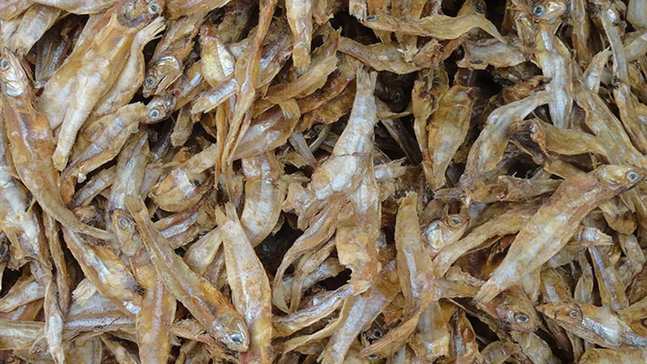 என்ன கருவாட்டில் இத்தனை நன்மைகள் இருக்கா...தெரிந்து கொள்வோம் வாங்க! என்ன கருவாட்டில் இத்தனை நன்மைகள் இருக்கா...தெரிந்து கொள்வோம் வாங்க!