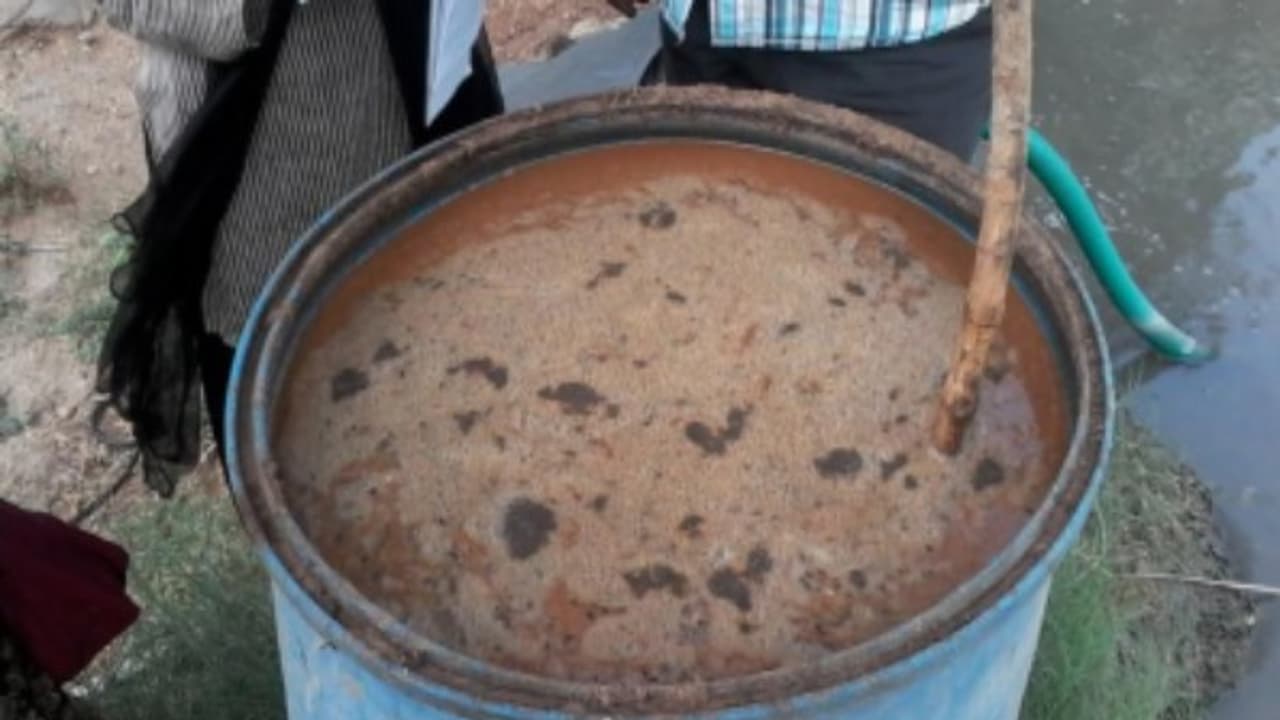 ஜீவாமிர்தம் தயாரிக்க தேவையான பொருட்கள் மற்றும் தயாரிப்பு முறை... ஜீவாமிர்தம் தயாரிக்க தேவையான பொருட்கள் மற்றும் தயாரிப்பு முறை...