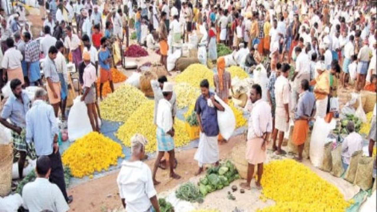 ஒரு கிலோ மல்லிகைப் பூ 5500 ரூபாயா? உற்பத்தி பாதிப்பால் வரலாறு காணாத விலை ஏற்றம்... ஒரு கிலோ மல்லிகைப் பூ 5500 ரூபாயா? உற்பத்தி பாதிப்பால் வரலாறு காணாத விலை ஏற்றம்...