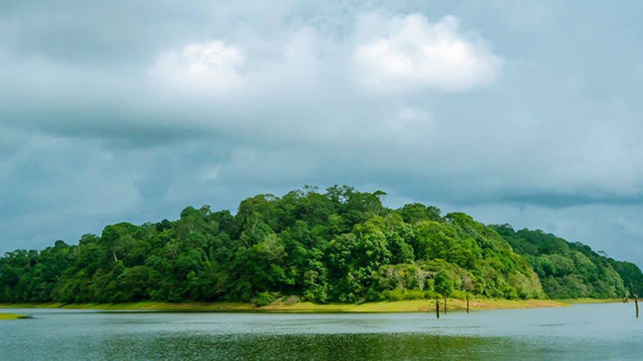 Four drown in Periyar River in Kerala Four drown in Periyar River in Kerala