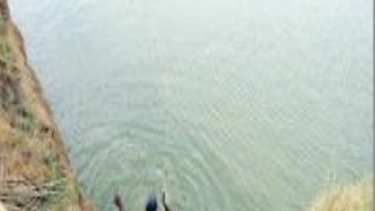 குருணைத் தீவனத்தை நீங்களே தயாரிக்கலாம். எப்படி? குருணைத் தீவனத்தை நீங்களே தயாரிக்கலாம். எப்படி?