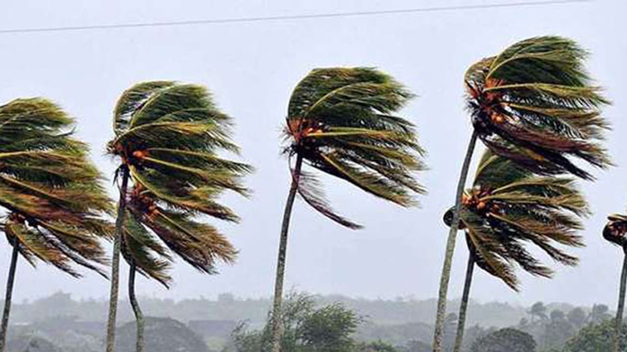 ശക്തമായ കാറ്റിന് സാധ്യത; മത്സ്യത്തൊഴിലാളികള്ക്ക് ജാഗ്രതാ നിര്ദ്ദേശം ശക്തമായ കാറ്റിന് സാധ്യത; മത്സ്യത്തൊഴിലാളികള്ക്ക് ജാഗ്രതാ നിര്ദ്ദേശം