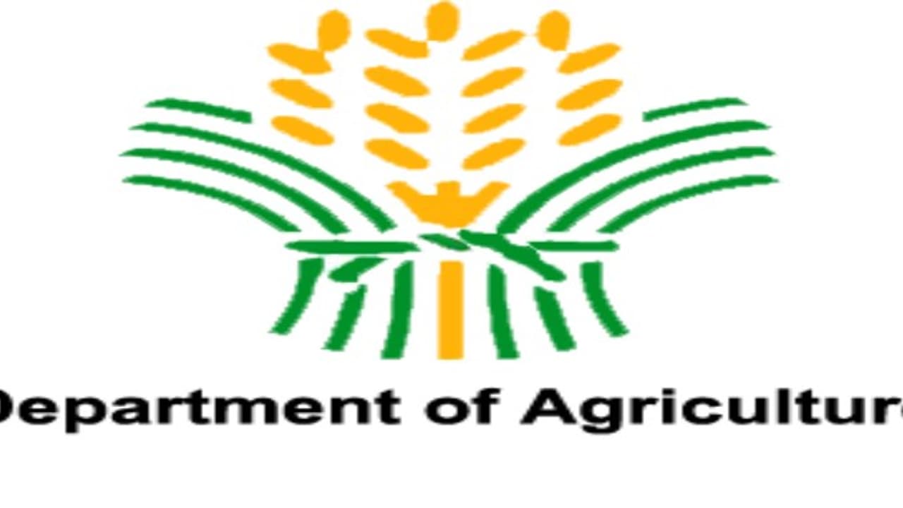 மத்திய வேளாண் துறை இயக்குனருக்கு சிறை சிபிஐ நீதிமன்றம் அதிரடி மத்திய வேளாண் துறை இயக்குனருக்கு சிறை சிபிஐ நீதிமன்றம் அதிரடி