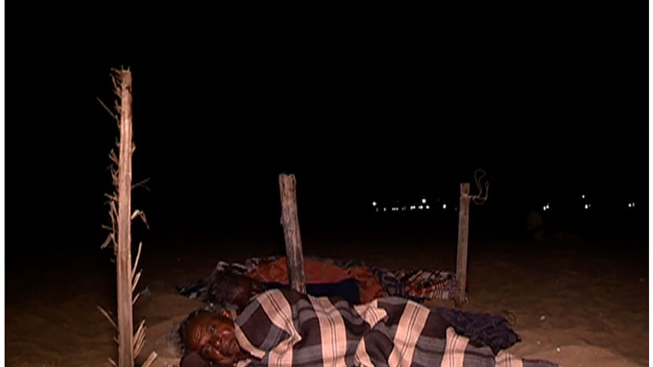 തെരുവ് നായ്ക്കളെ പേടിച്ച് ഒരു നാട് മുഴുവന് ഉറങ്ങാതിരിക്കുന്നു തെരുവ് നായ്ക്കളെ പേടിച്ച് ഒരു നാട് മുഴുവന് ഉറങ്ങാതിരിക്കുന്നു