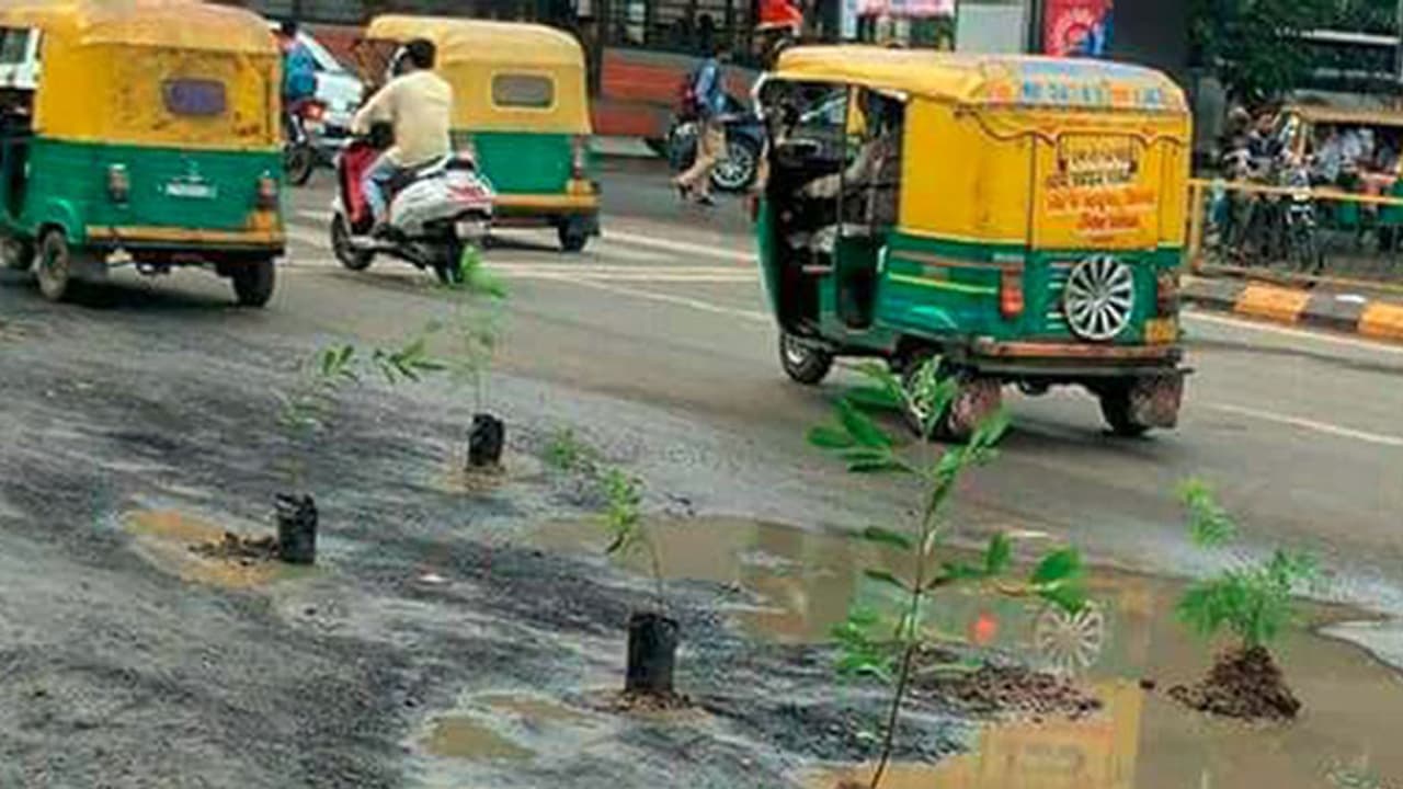 హైదరాబాద్ లో ఇది కొత్త రకం హరితహారం హైదరాబాద్ లో ఇది కొత్త రకం హరితహారం